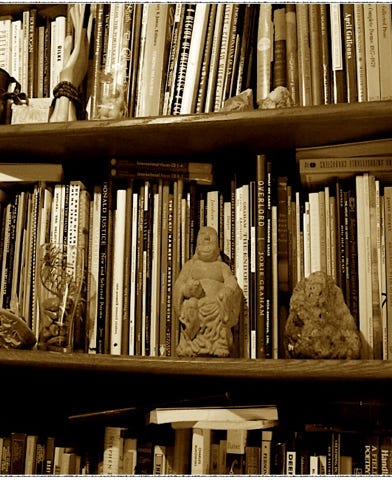 Rasma Haidris bookshelf logo